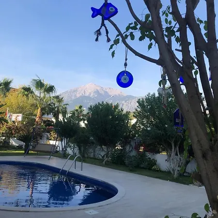 A Cozy Flat 200 M To The Beach With A Mountain View شقة